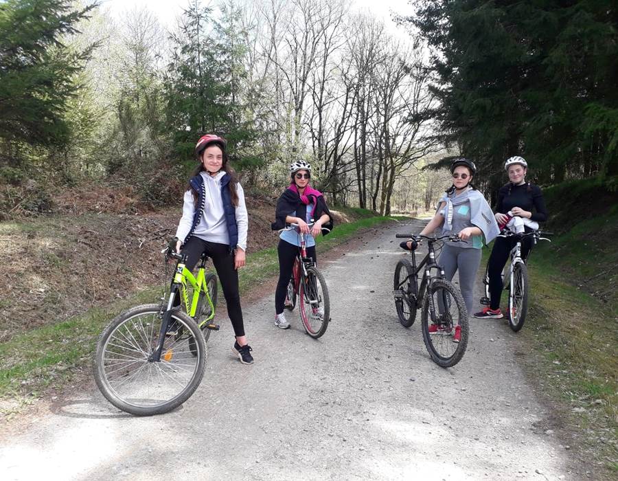 57068513_338385453482000_8504011456256147456_n