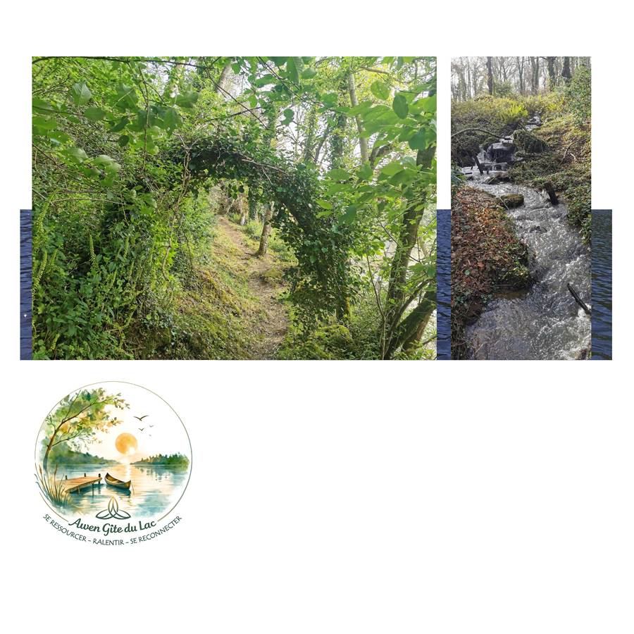 Awen_Gîte du lac_chemin_randonnée_Vallée de la Rance_Bretagne