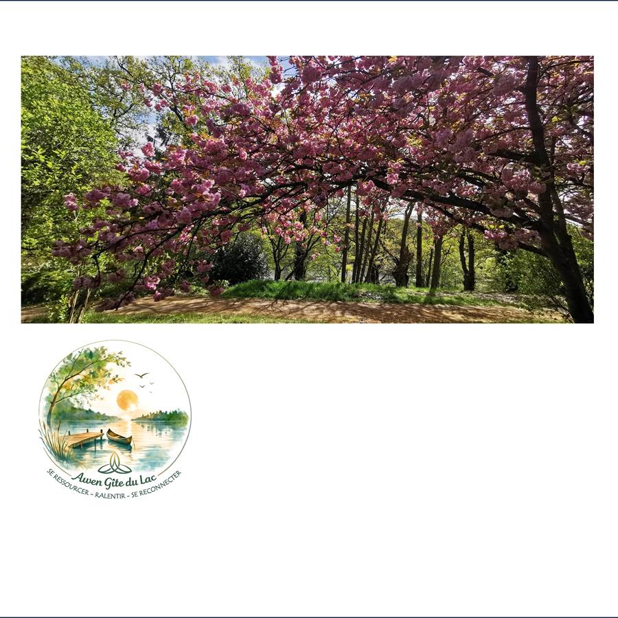 Awen_Gîte du lac_Parc_Vallée de la Rance_Bretagne