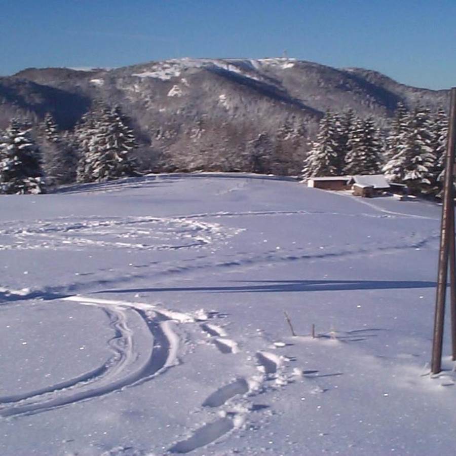 Piste de ski 