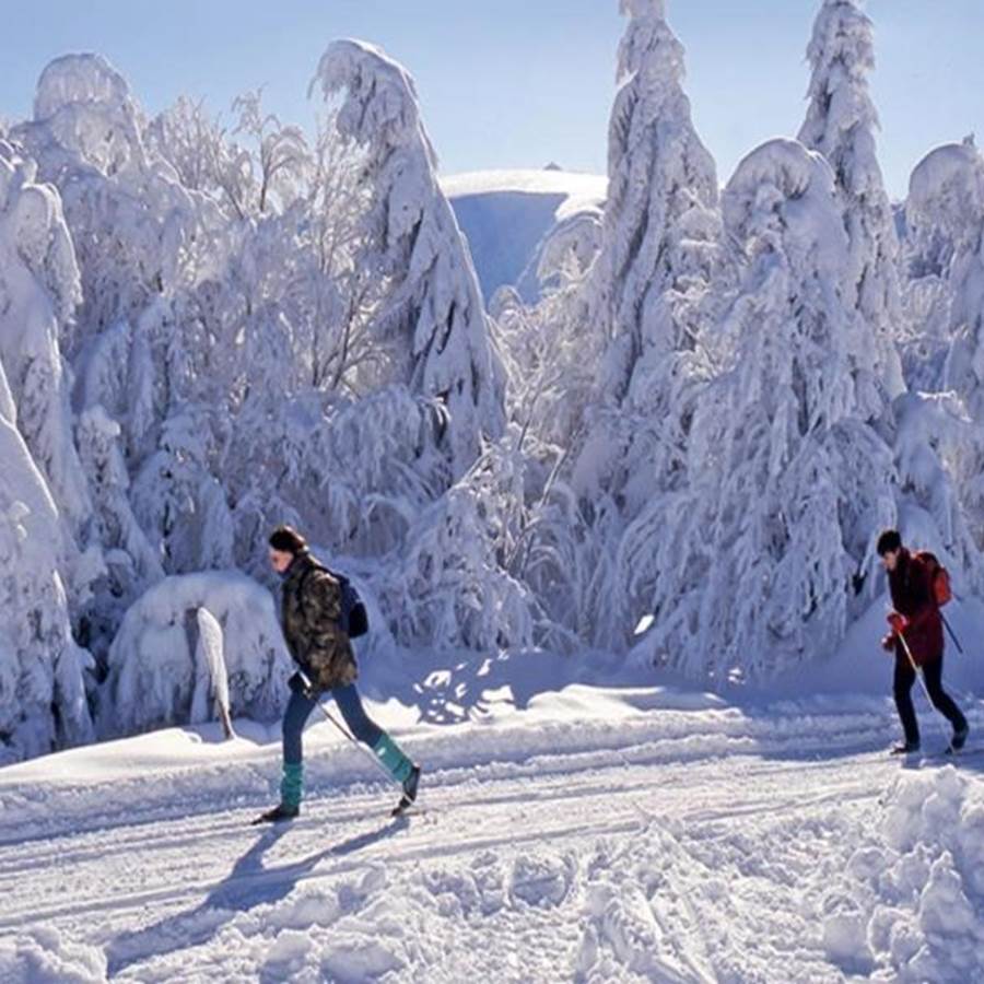 Chemin en montagne 