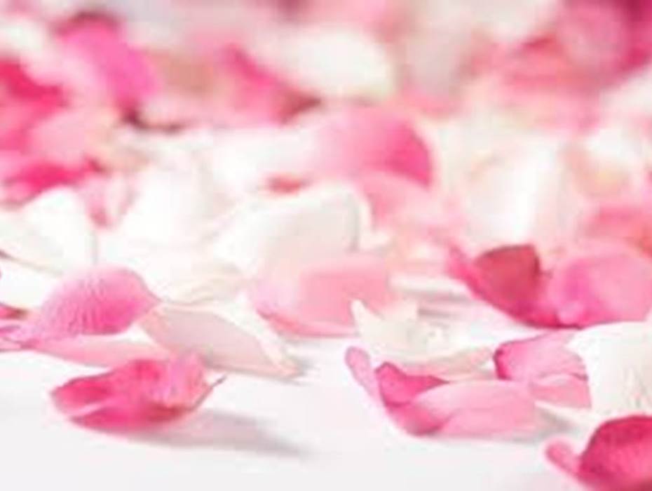 pétales artificielles