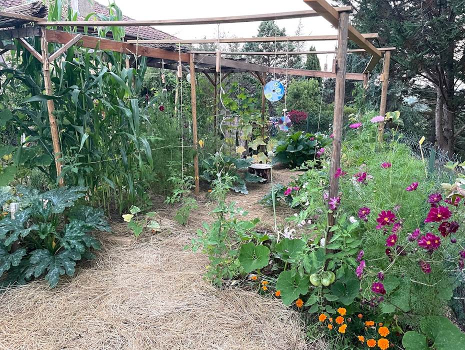 Un potager peut être un lieu de promenade