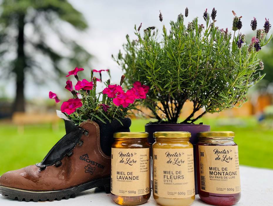 Miel de Lavande, Montagne ou Fleurs