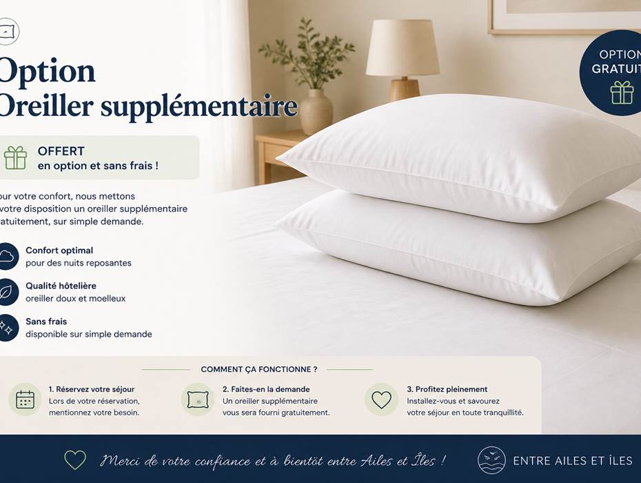 Oreiller supplémentaire