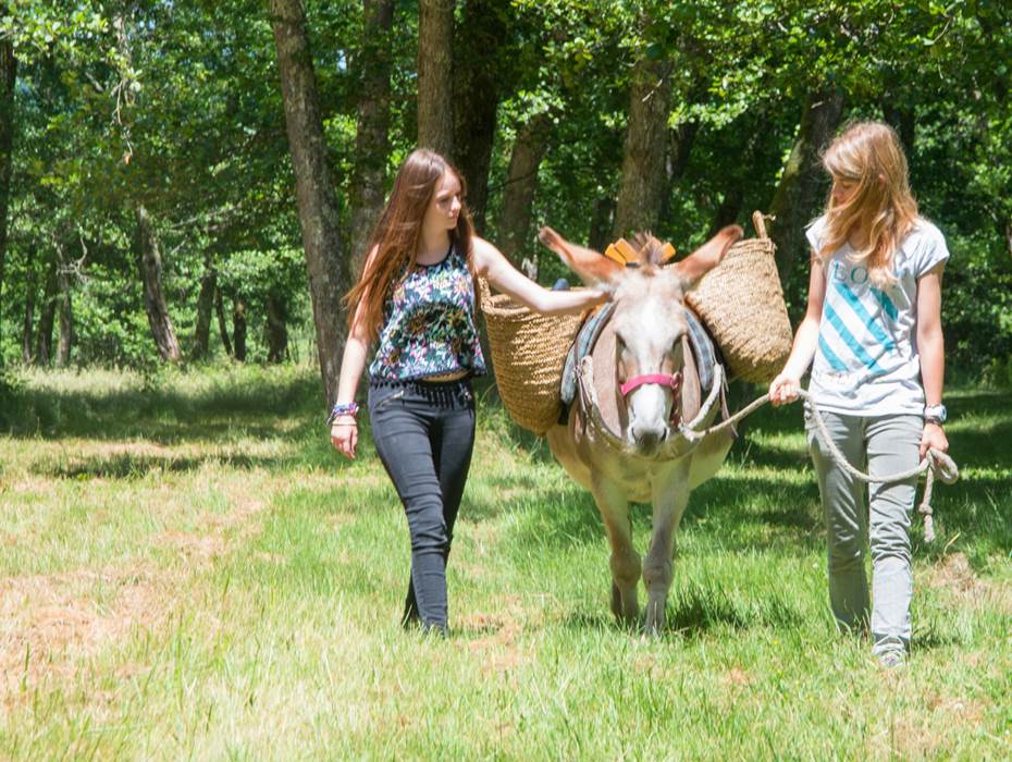 Ane-de-vassiviere-haute-vienne-9