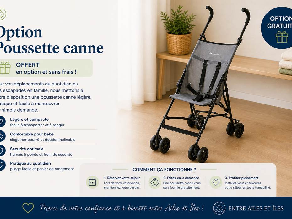 poussette canne