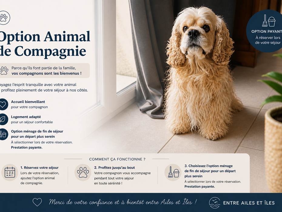 Animal de compagnie (1)
