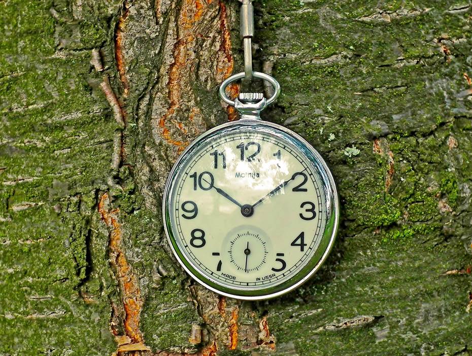 mrgajowy3-pocket-watch-5952771_1920