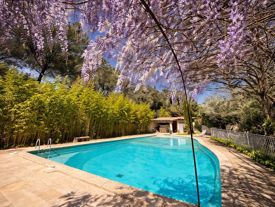 Pool with wisteria