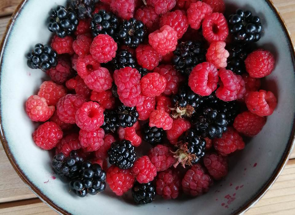 La récolte du jardin en prévision de bonnes gelées de fruits
