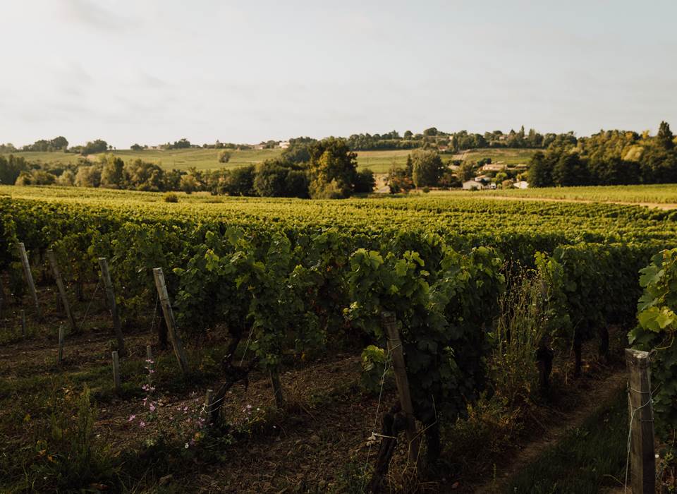 Maison d'hôtes gîte Saint-Emilion - 24