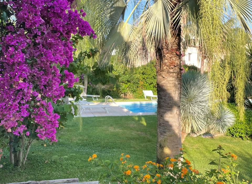 Les deux mas, vue du jardin