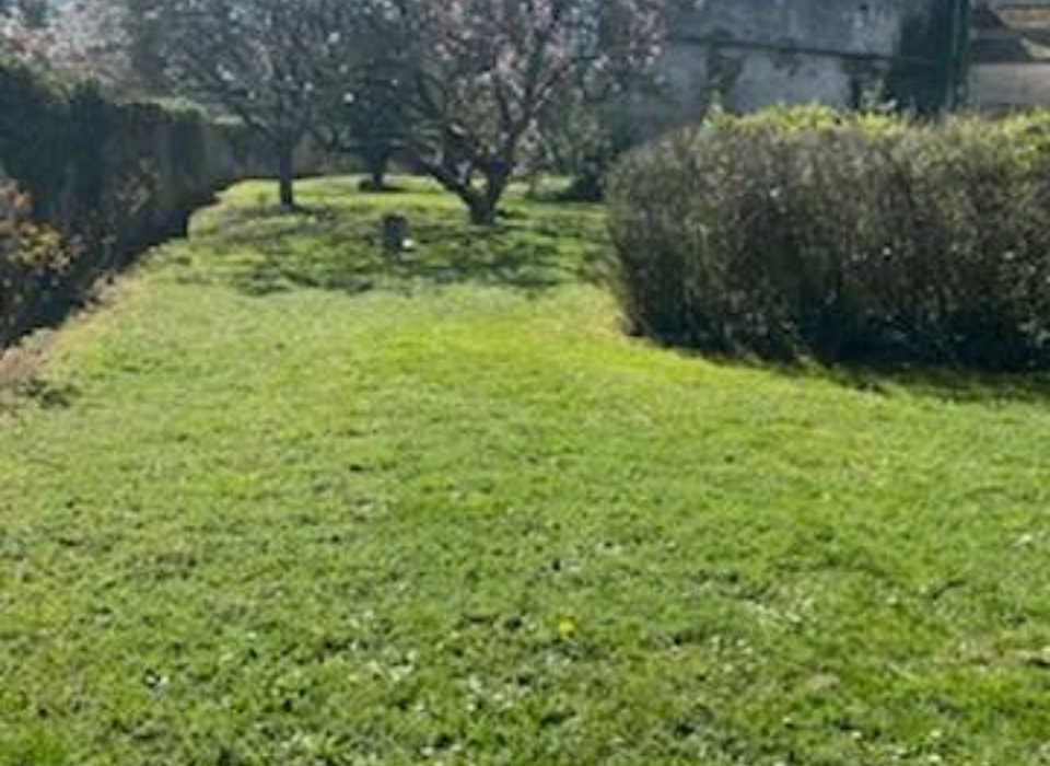 Jardin2