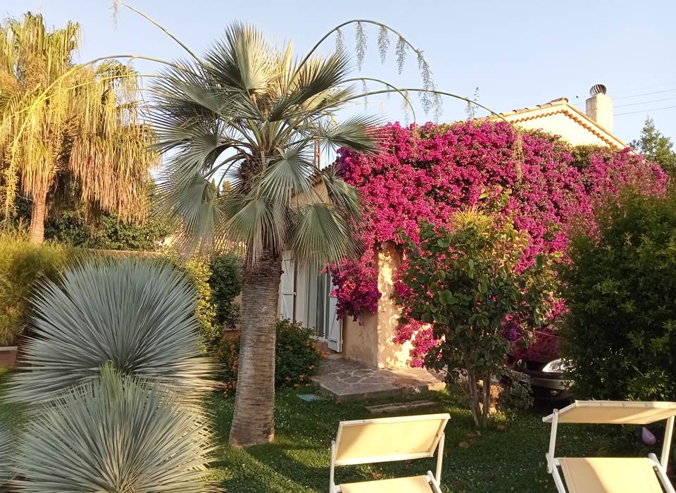 Les deux mas, vue du jardin