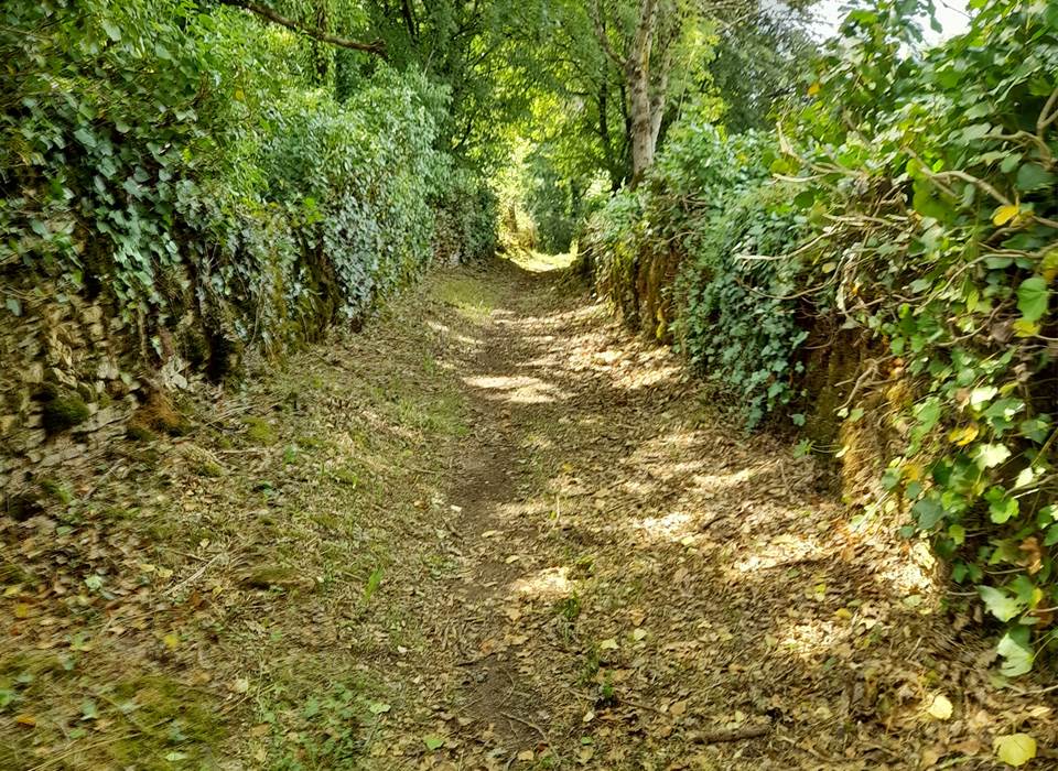 Sentier de randonnée