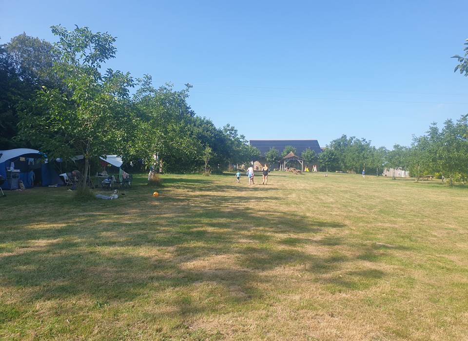 grote veld