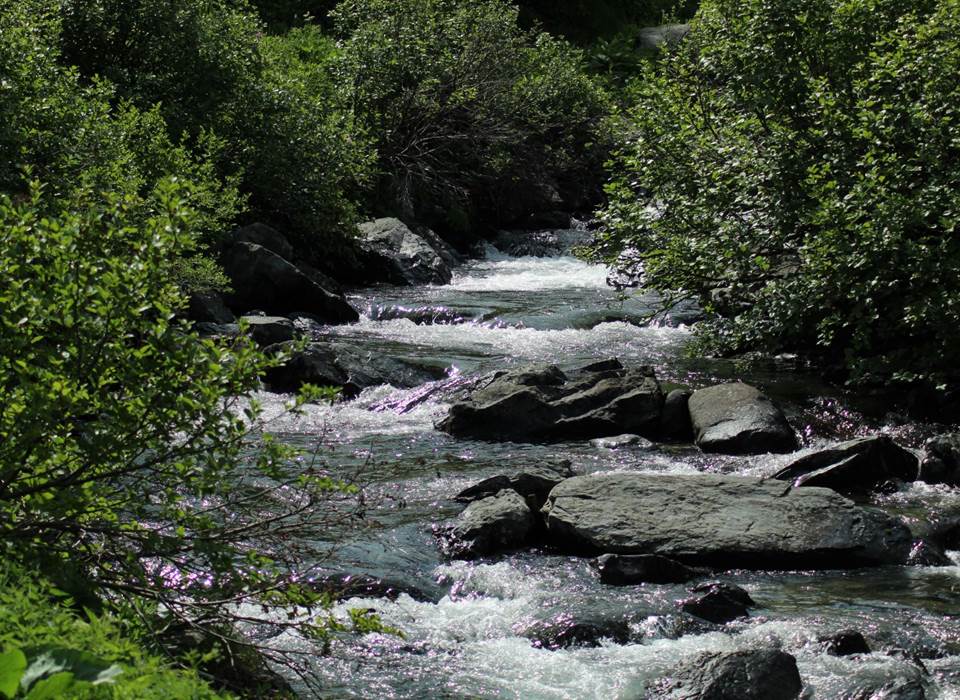 Le long de la Névache