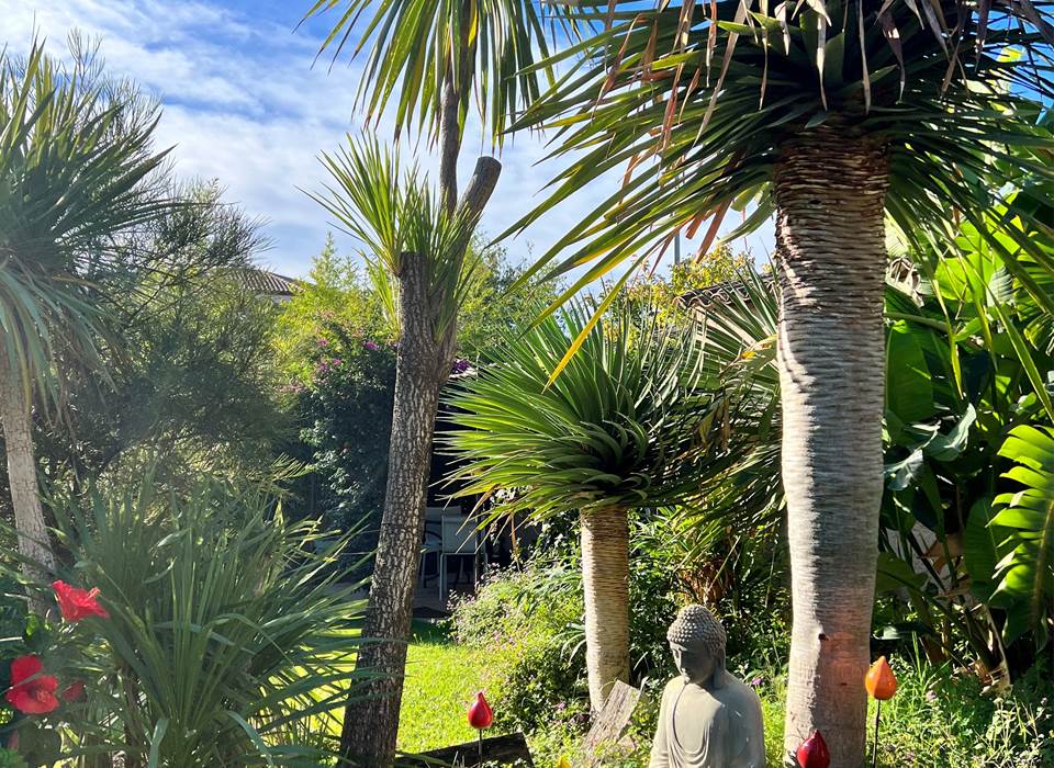 Les deux mas, vue du jardin