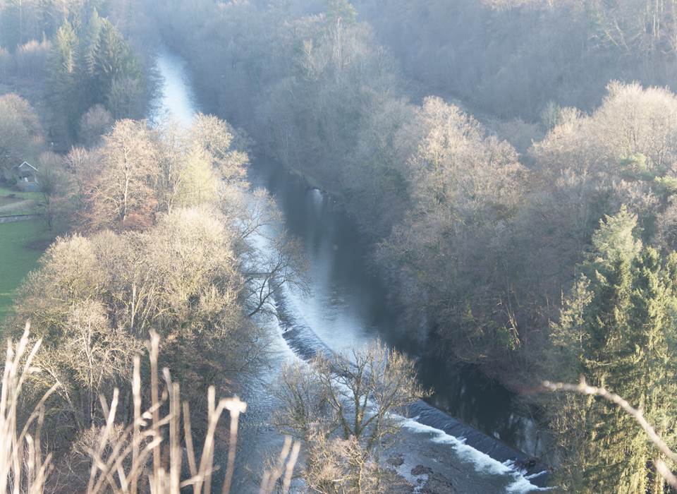 Vue de l'Amblève vers Raborive (Aywaille)