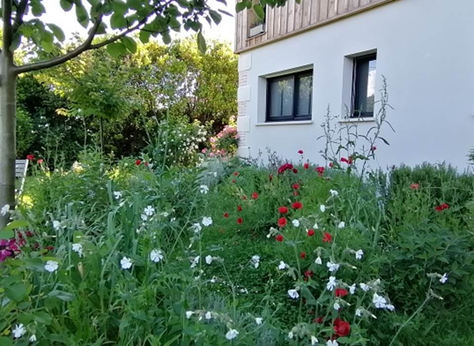 Le jardin fleuri