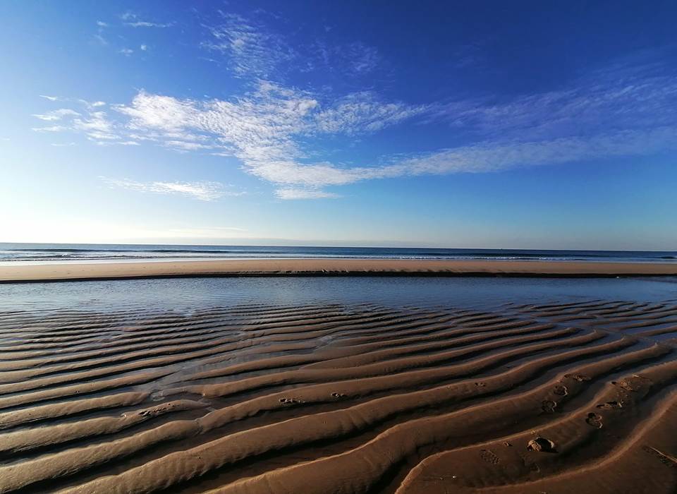 Les plages de l'Océan à proximité: vagues et cours de surf