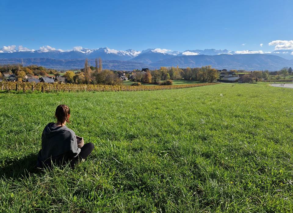 Vue du jardin (Novembre 2022)