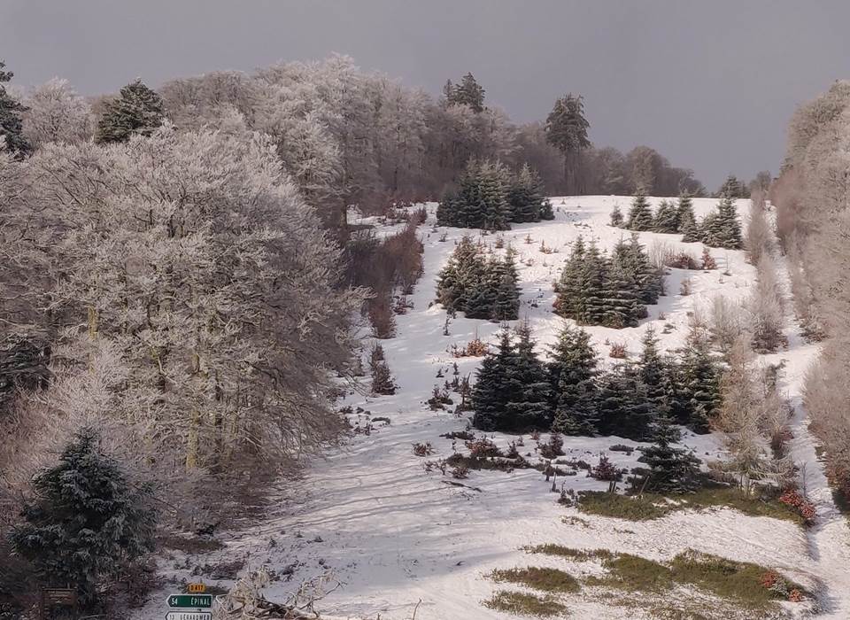 Un matin dans les Vosges