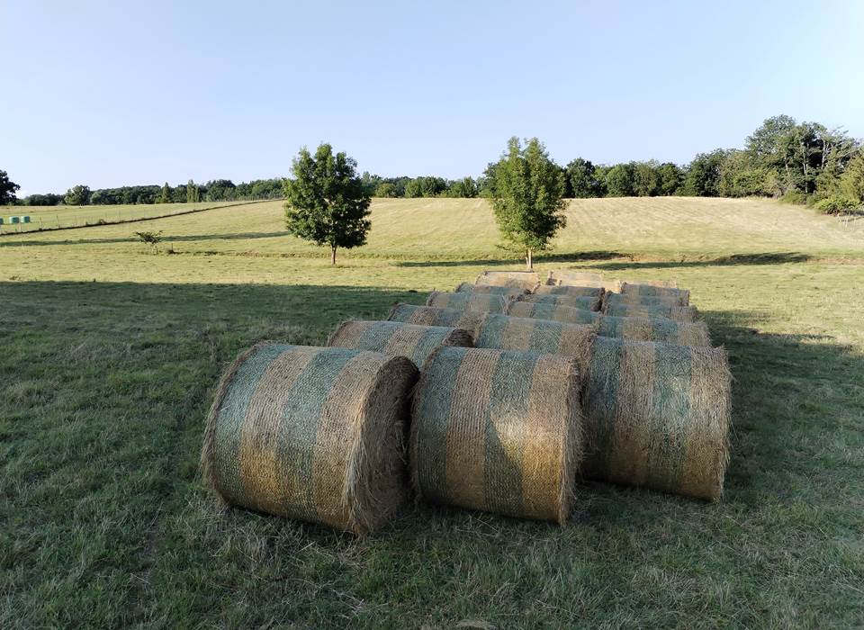 vue pré - bottes de foin