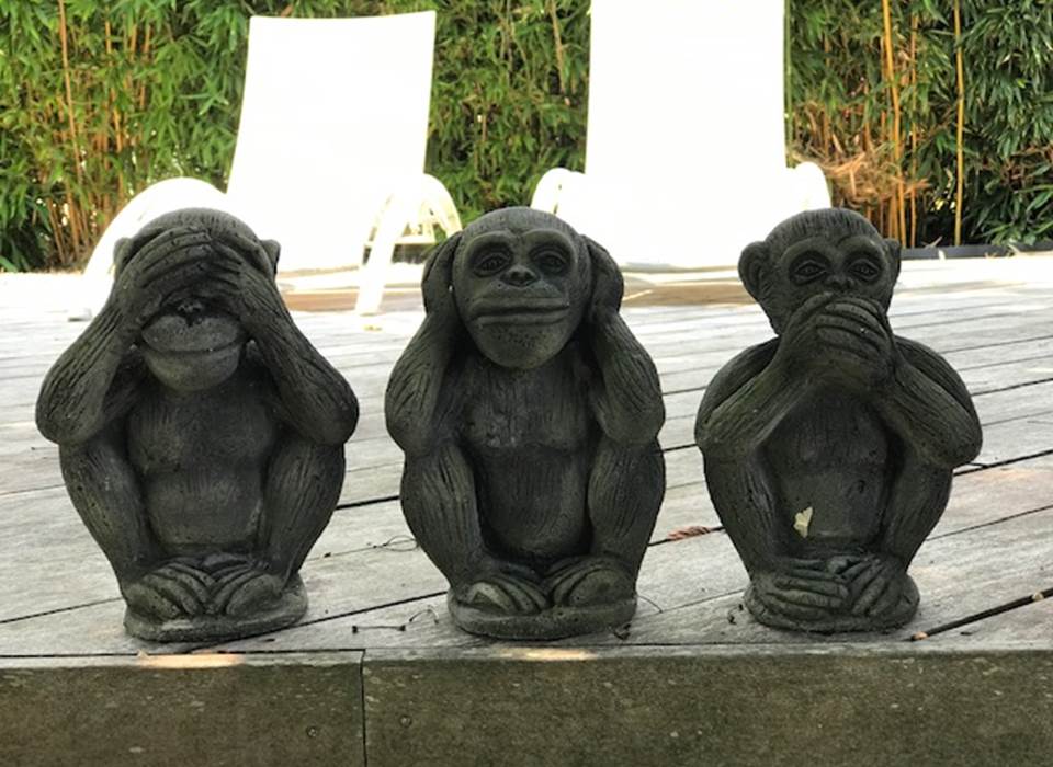 3singes