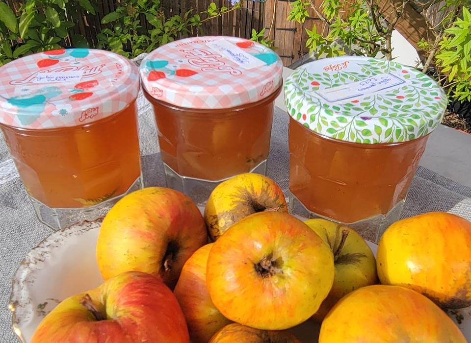 pommes du jardin et leur gelée