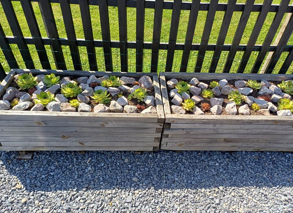 Un exemple de plantation décorative.