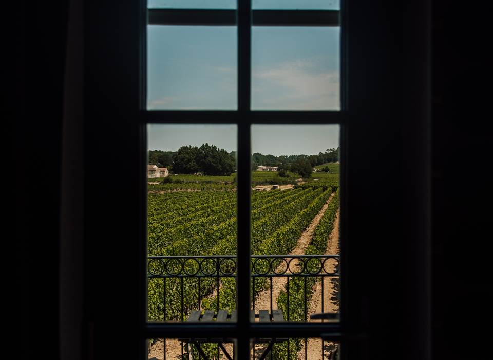 Maison d'hôtes gîte Saint-Emilion - 7