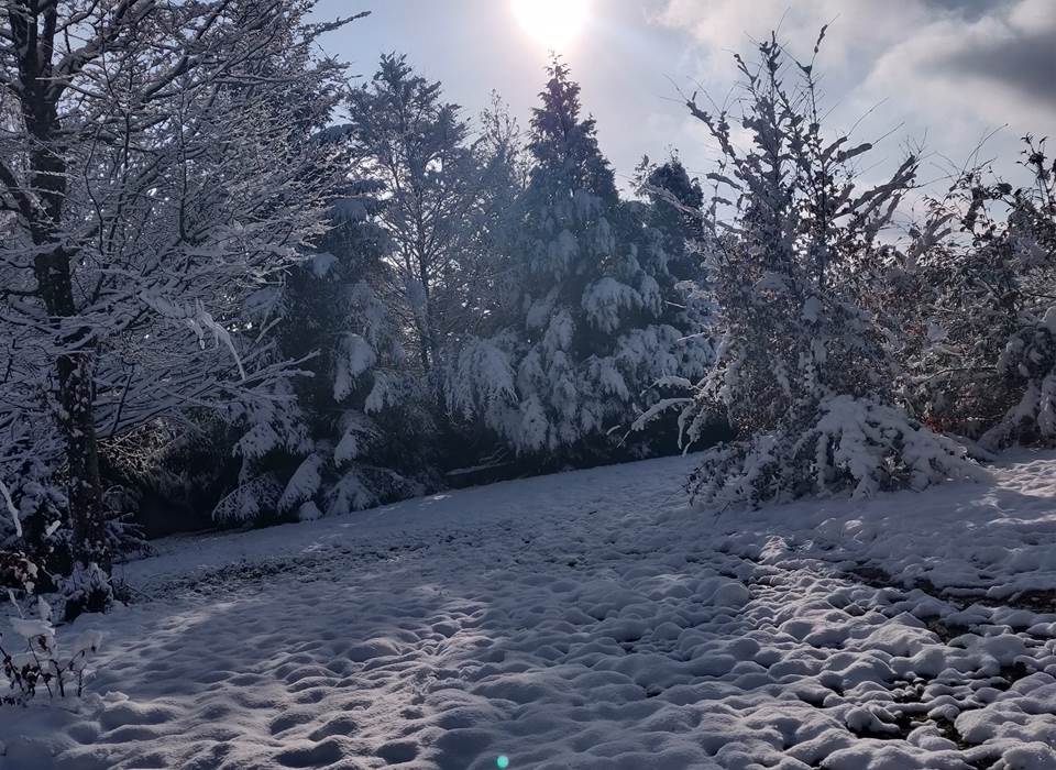 Neige sur le jardin du gîte