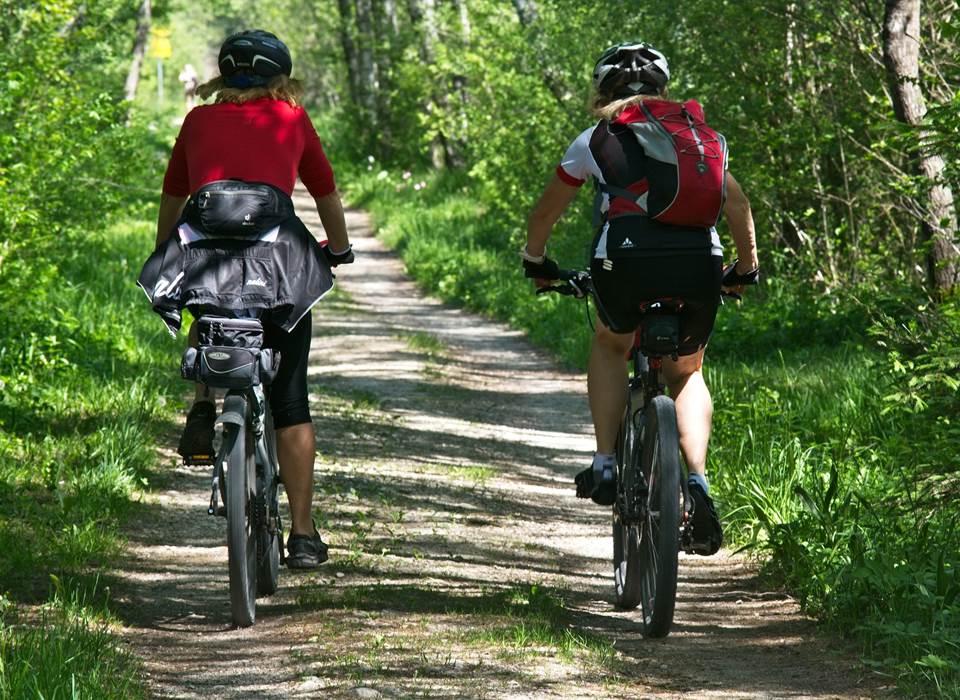 vtt