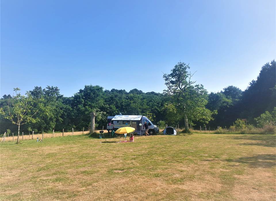 campervan 3