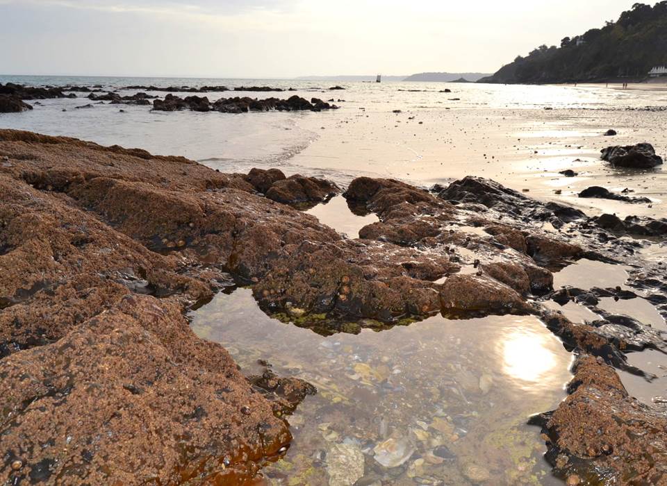 Plage des Godelins_Etables-sur-mer_rochers