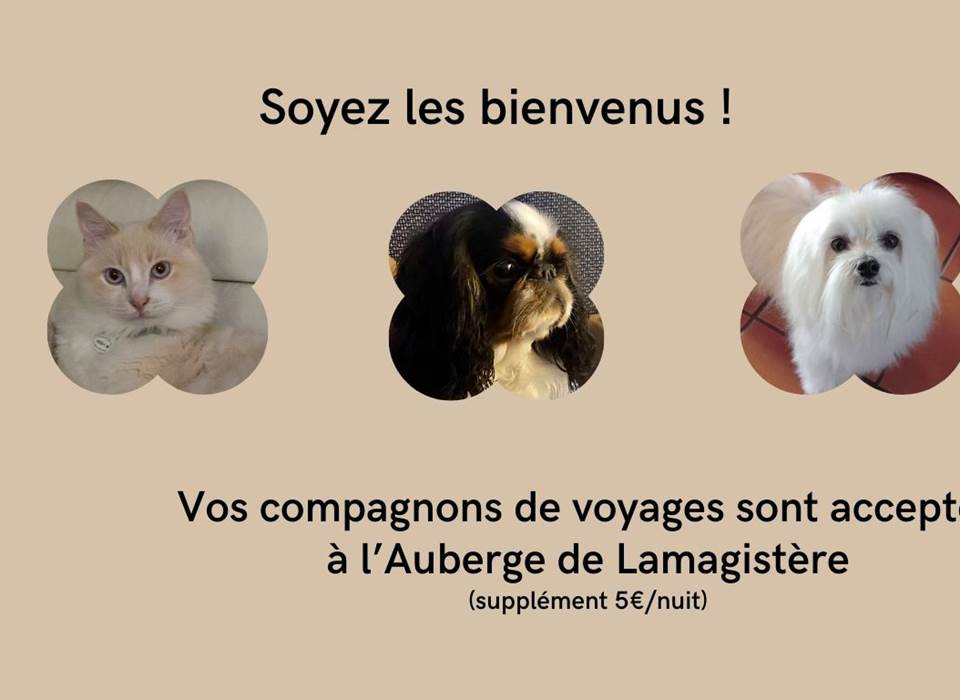 Nos amis les animaux sont les bienvenus