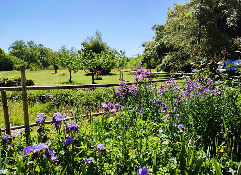 Le parc