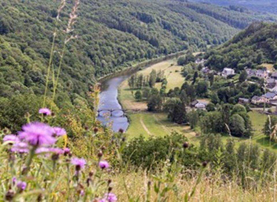 Rochehaut