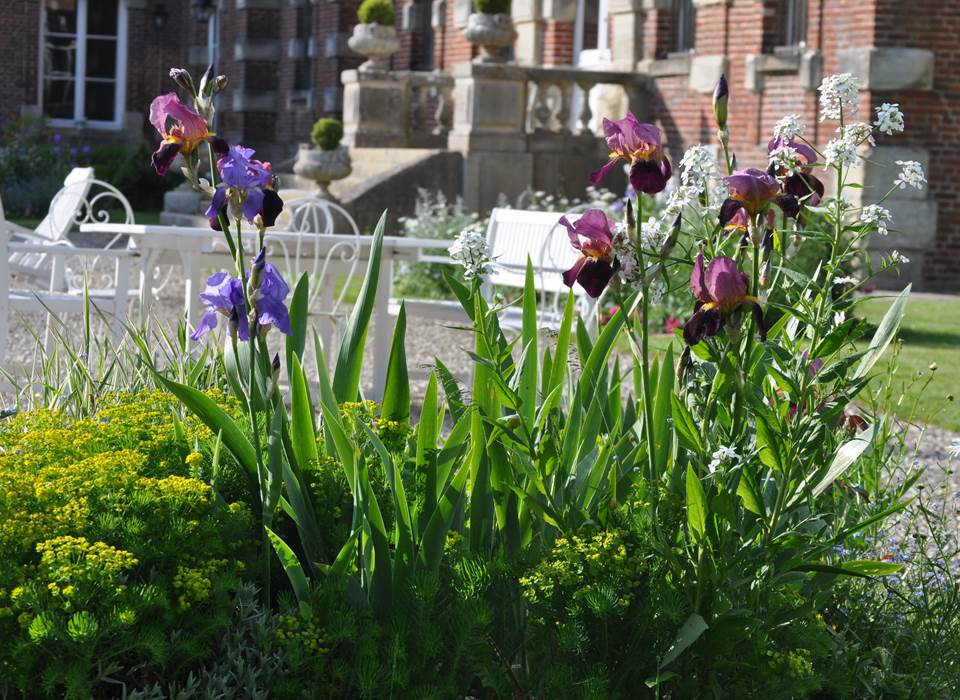 jardin fleuri 1