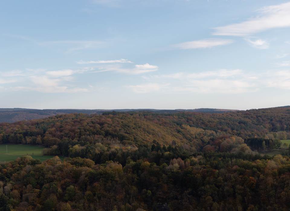 Vue générale d'un paysage vallonné en automne