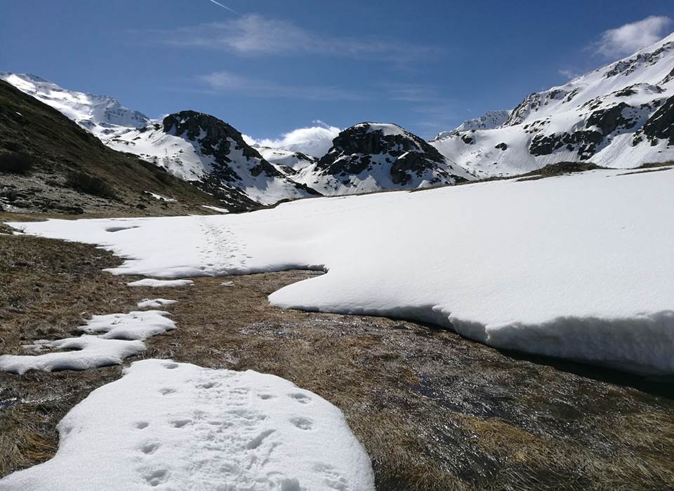 En allant au refuge de Terre Rouge
