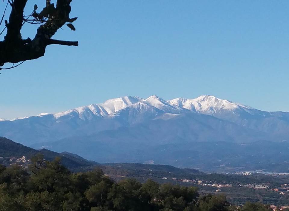 Vue de la montagne du Canigou, dans les Pyrénées Orientales