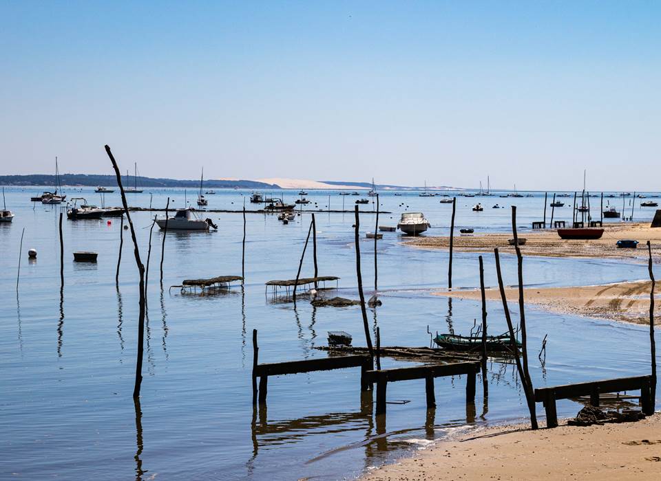 tanja-cotoaga-2qsASzkpFvw-unsplash