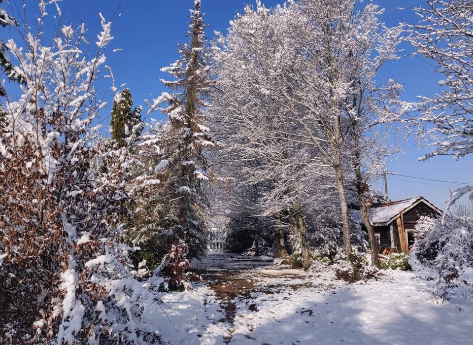 Arrière de la maison sous la neige en 2023