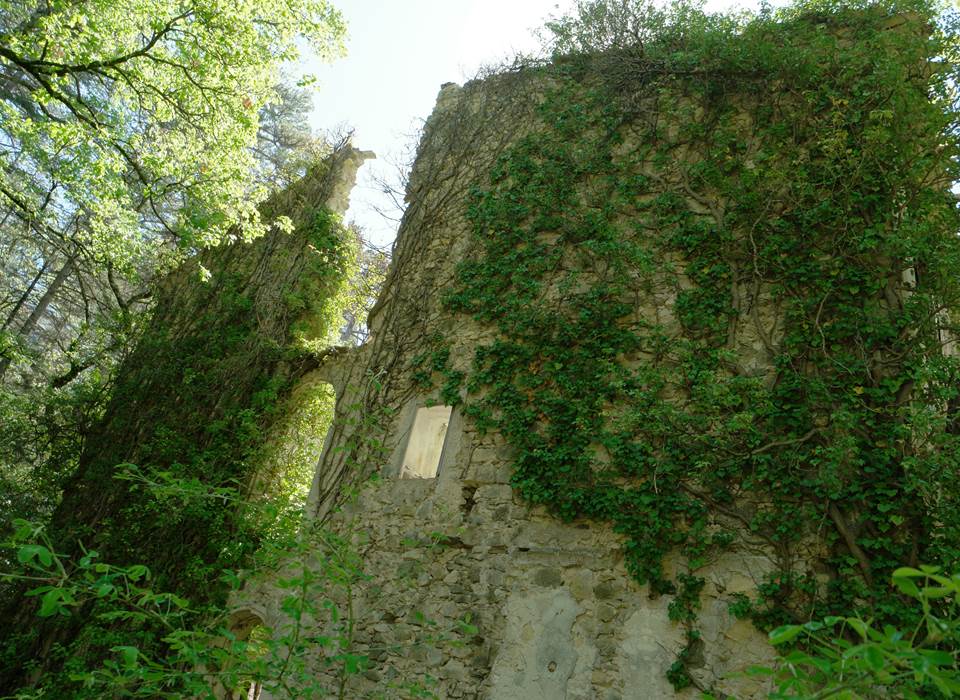 Thermesancienne8