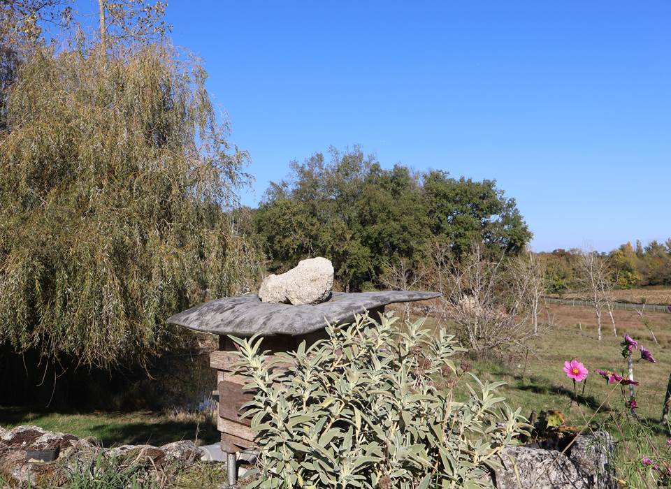 ruche et fleurs