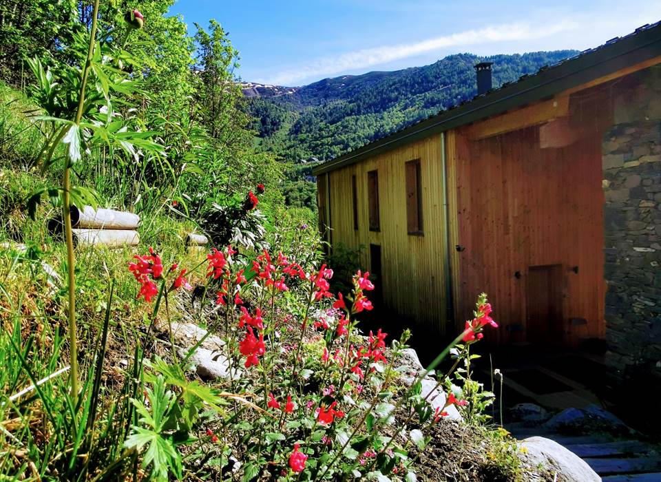 Le chalet entouré de fleurs