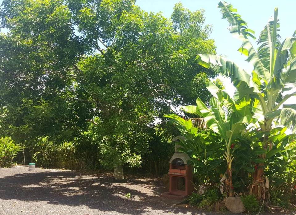 Gite_Rural_Flane_Capesterre_Belle_Eau_Guadeloupe_vacances